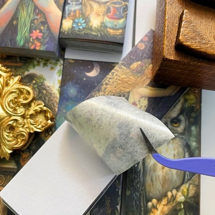 Magical Scroll Sticker Book 50Sheets