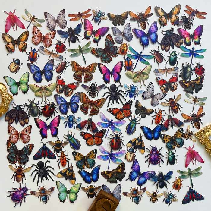Insect Collector Sticker 100PCS