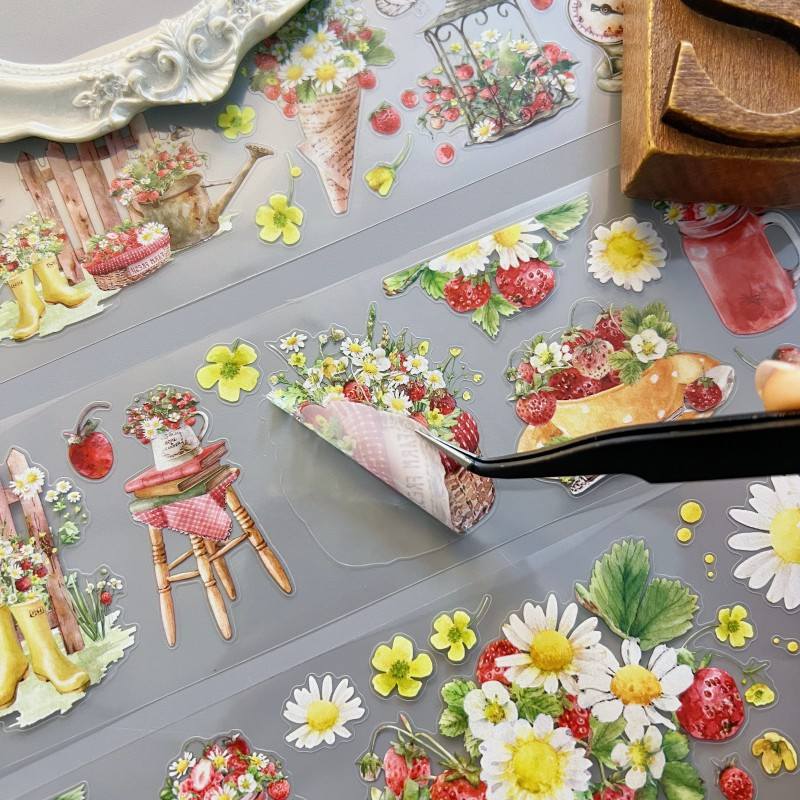 Spring Berry PET Tape Roll | Dong Xi