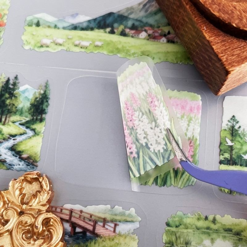 Breezy Meadow PET Tape Roll