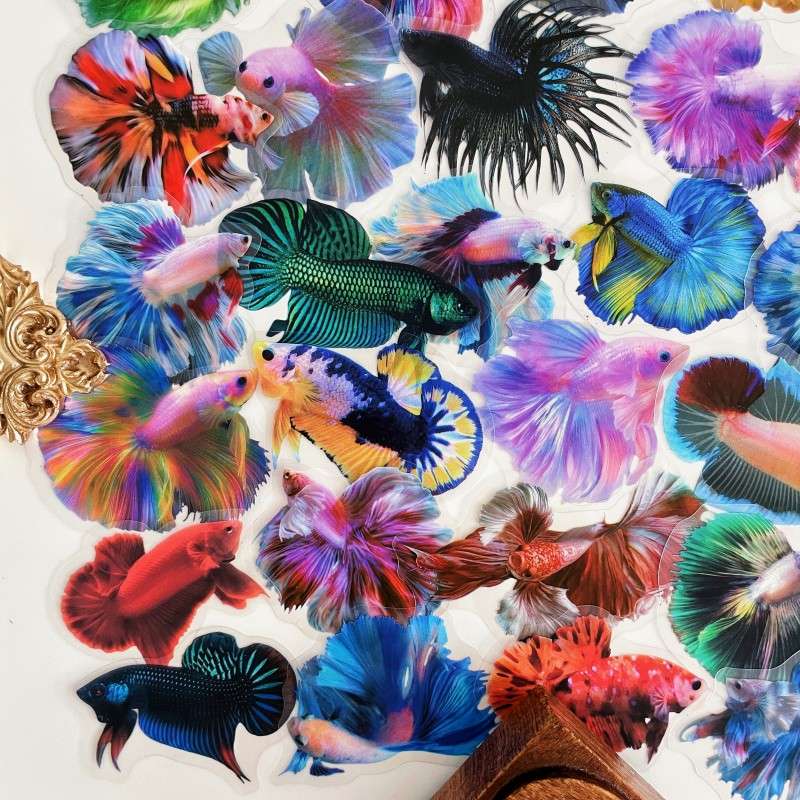 Color Betta Sticker 50PCS