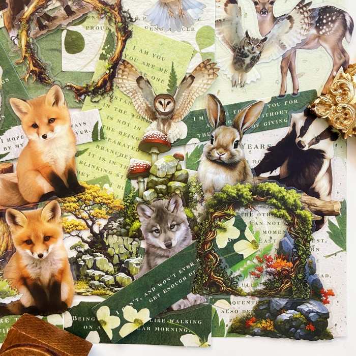 Leafy Refuge Ephemera Mystery Kit 90PCS