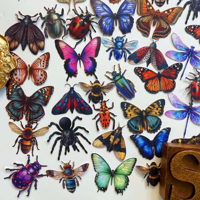 Insect Collector Sticker 100PCS