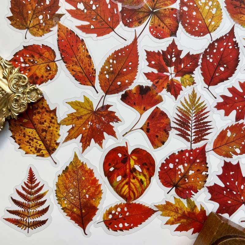 Fall Drift Sticker 56PCS