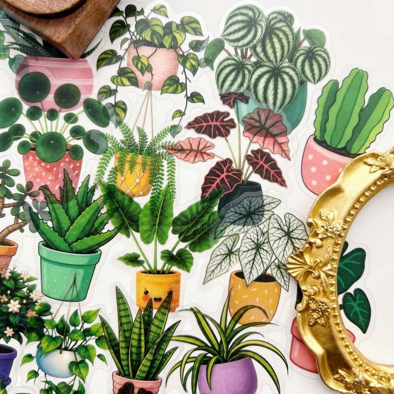 Eco Plants Sticker 50PCS