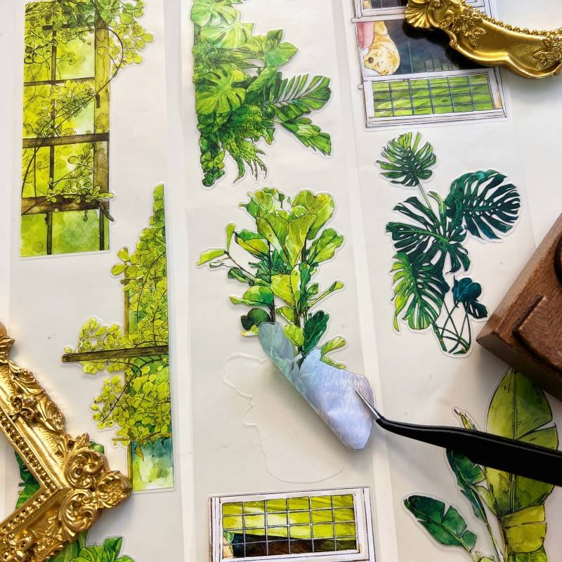 Lush Harmony PET Tape | DingDing