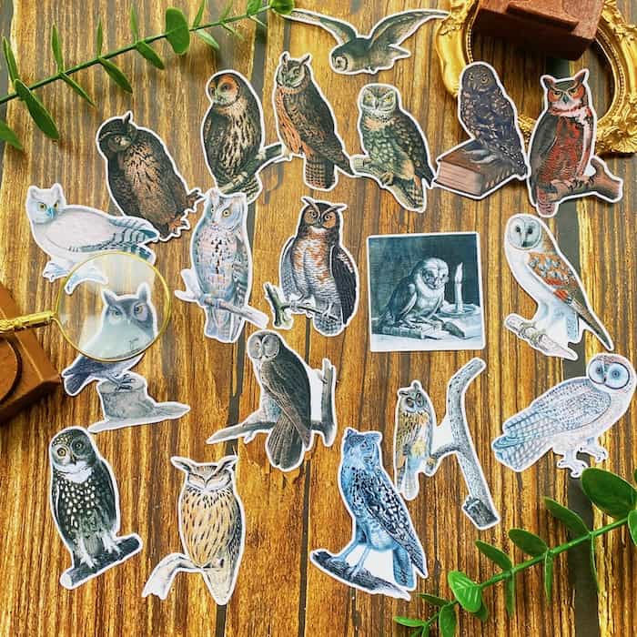 Owls Sticker 19PCS