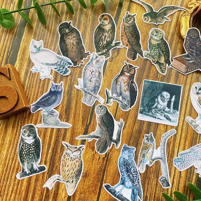 Owls Sticker 19PCS