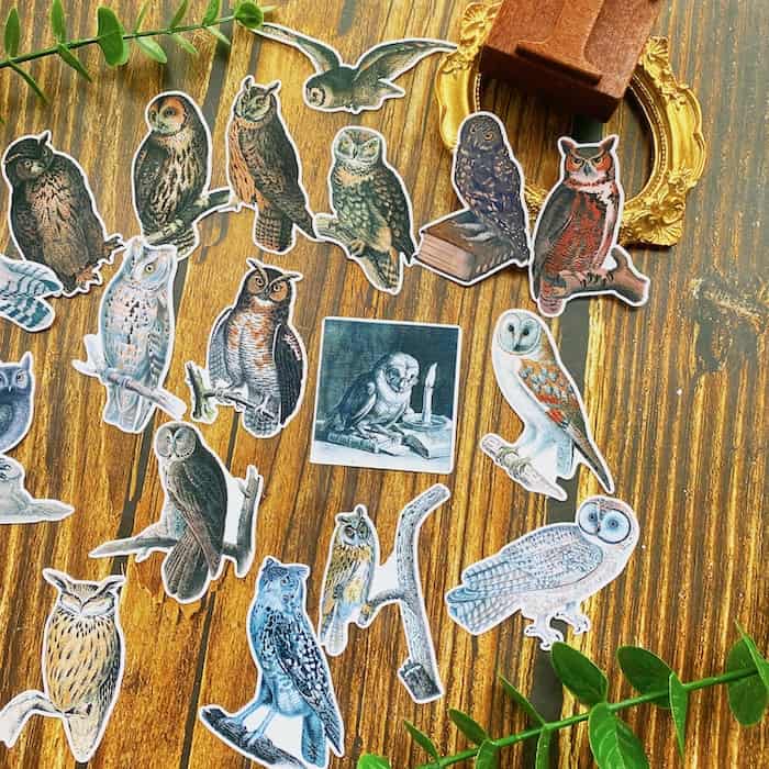 Owls Sticker 19PCS