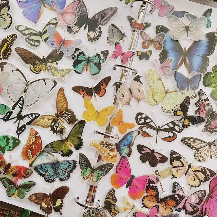 Butterflydex Vellum Sticker 80PCS