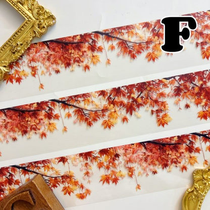 Crisp Days PET Tape Roll