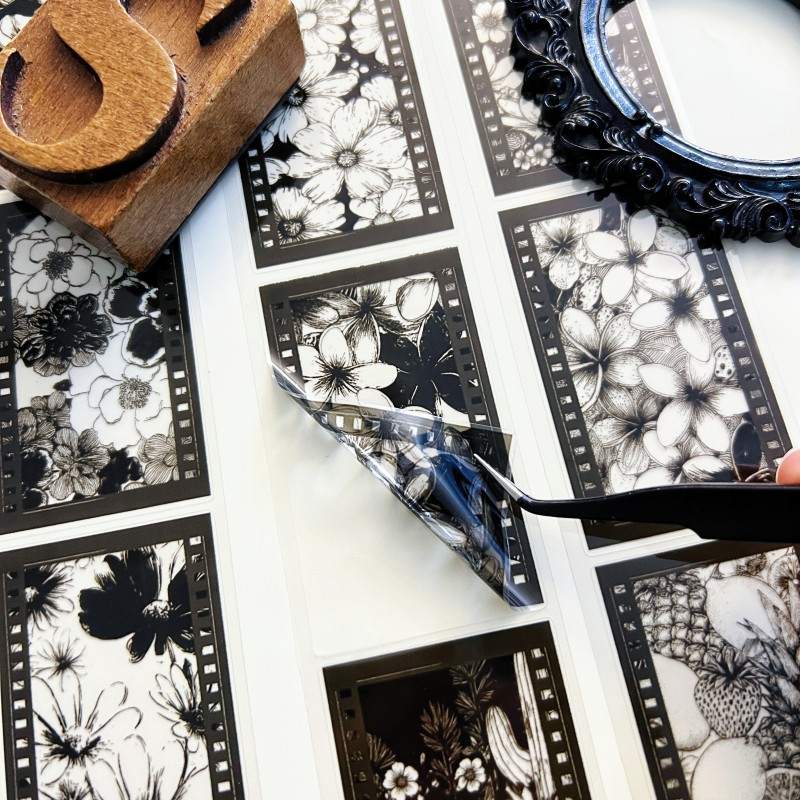 Ink Chronicle PET Tape Roll | Dong Xi