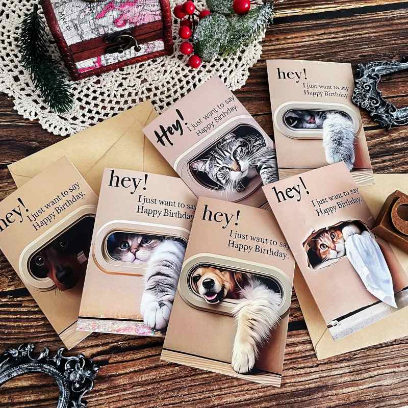 Peekaboo Birthday Card Set 6 Cards & 6 Envelopes