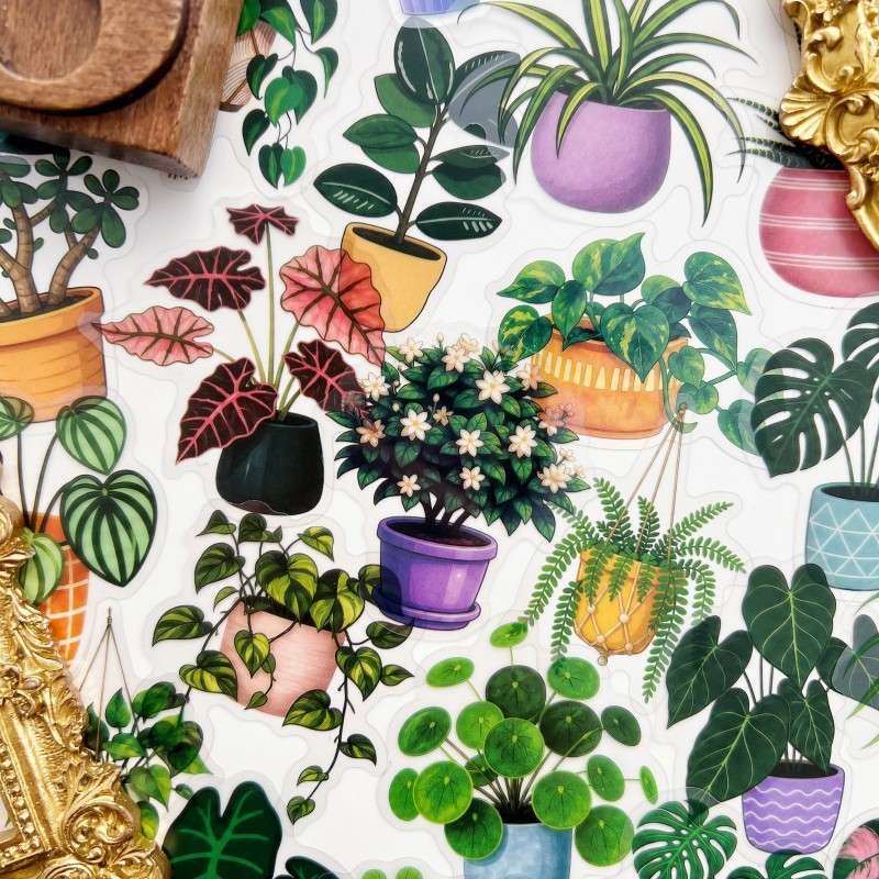 Eco Plants Sticker 50PCS