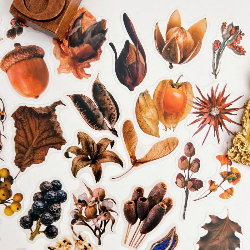 Fruit Herb Sticker 50PCS