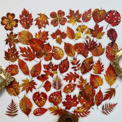 Fall Drift Sticker 56PCS
