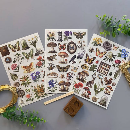 Magic Fossil Transfer Sticker