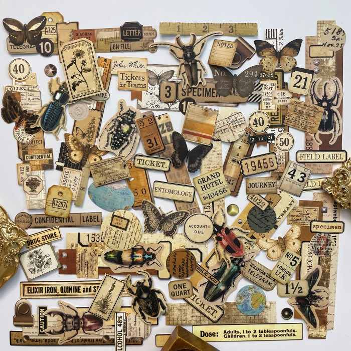 Papery Wings Sticker 60PCS