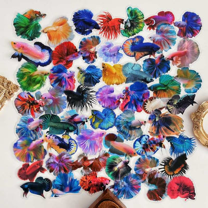 Color Betta Sticker 50PCS