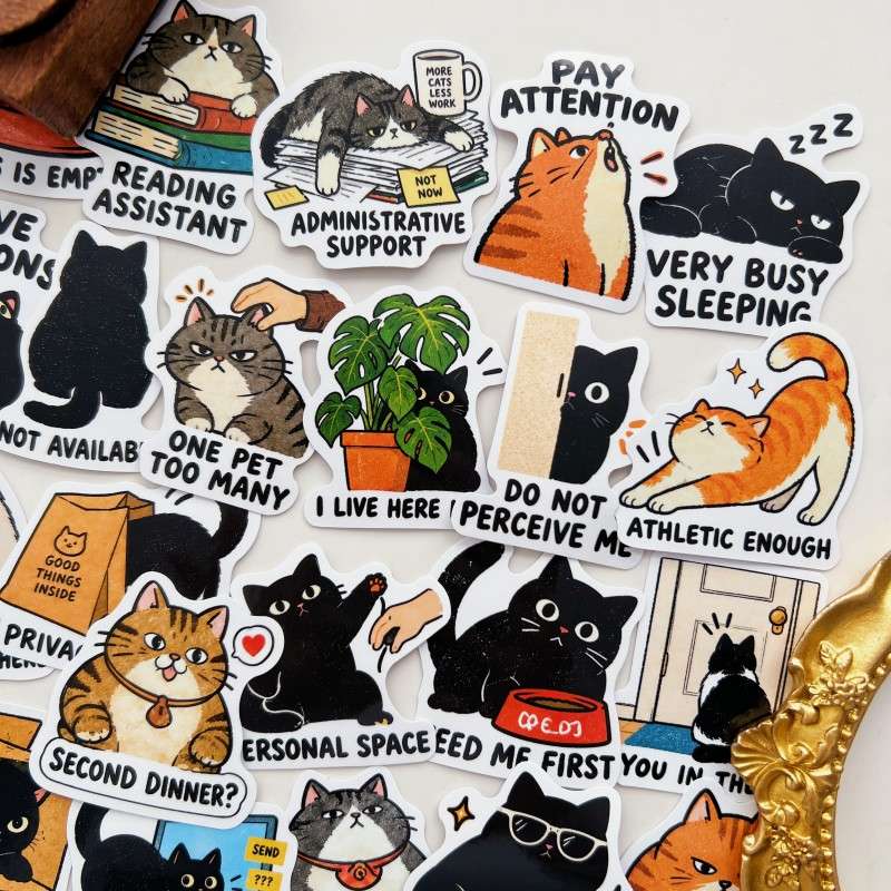 Kitten Nap Sticker 50PCS