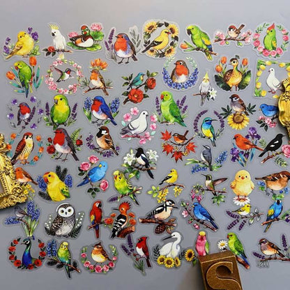 Painted Bird Sticker 56PCS