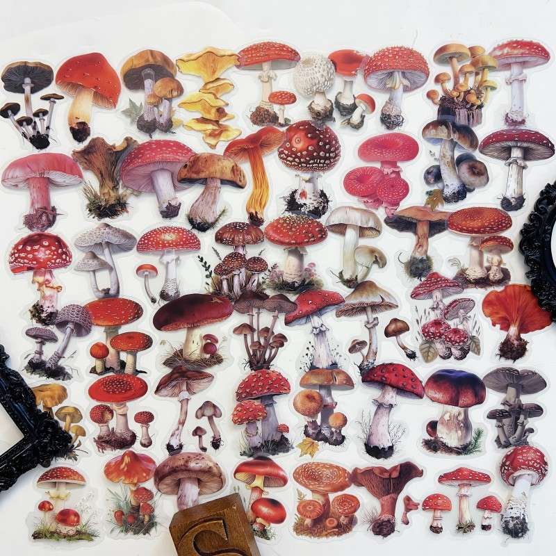 Oldwood Fungi Sticker 50PCS