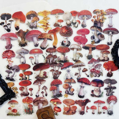 Oldwood Fungi Sticker 50PCS