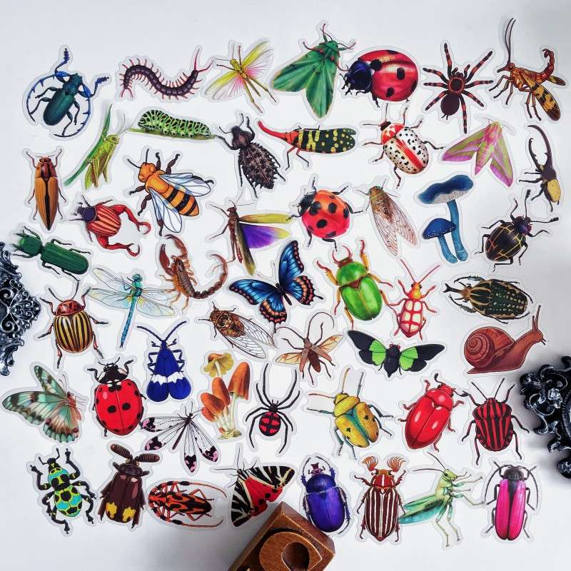 Bug Kingdom Sticker 50PCS