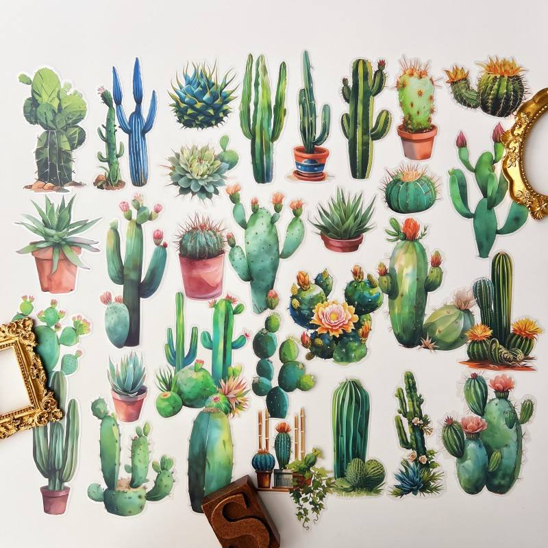 Summer Cactus Sticker 30PCS