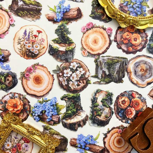 Wood Grain Time Sticker 60PCS