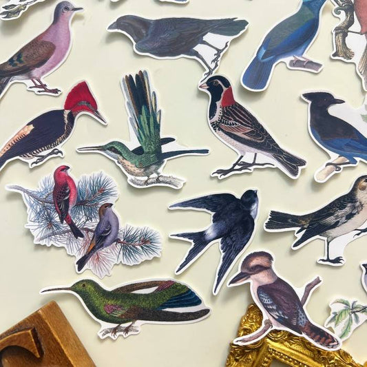 Vintage Birds Sticker 19PCS