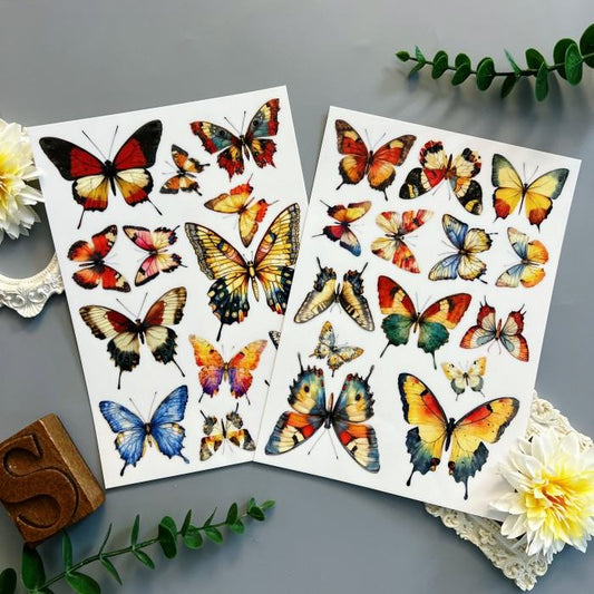 Colorful Flight Transfer Sticker