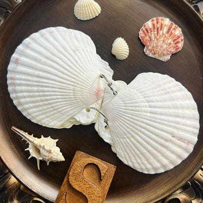 Scallop Shell Notebook