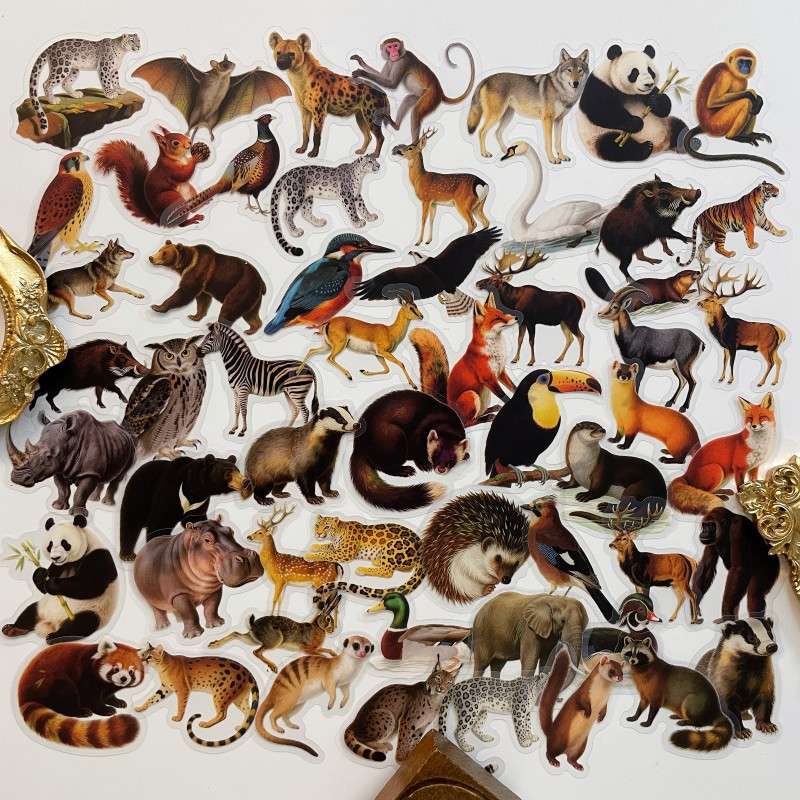 Woodland Beasts Sticker 56PCS