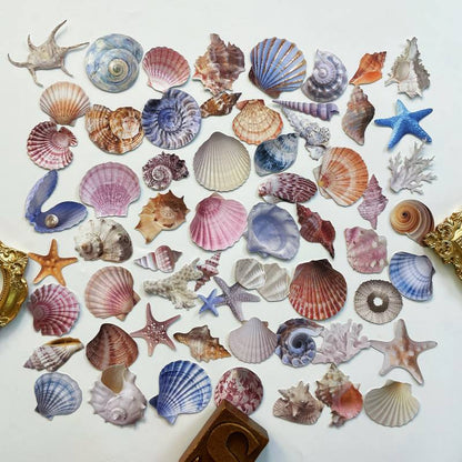 Shell Basket Sticker 60PCS