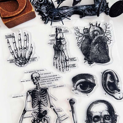 Forgotten Anatomy Clear Stamp