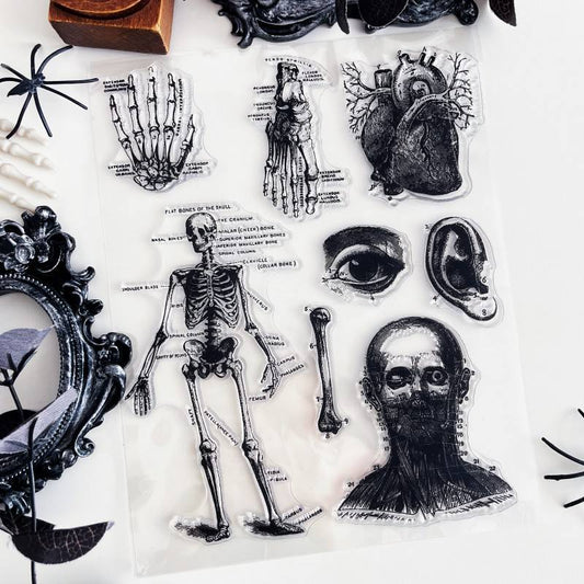 Forgotten Anatomy Clear Stamp