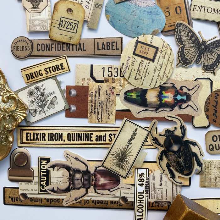 Papery Wings Sticker 60PCS