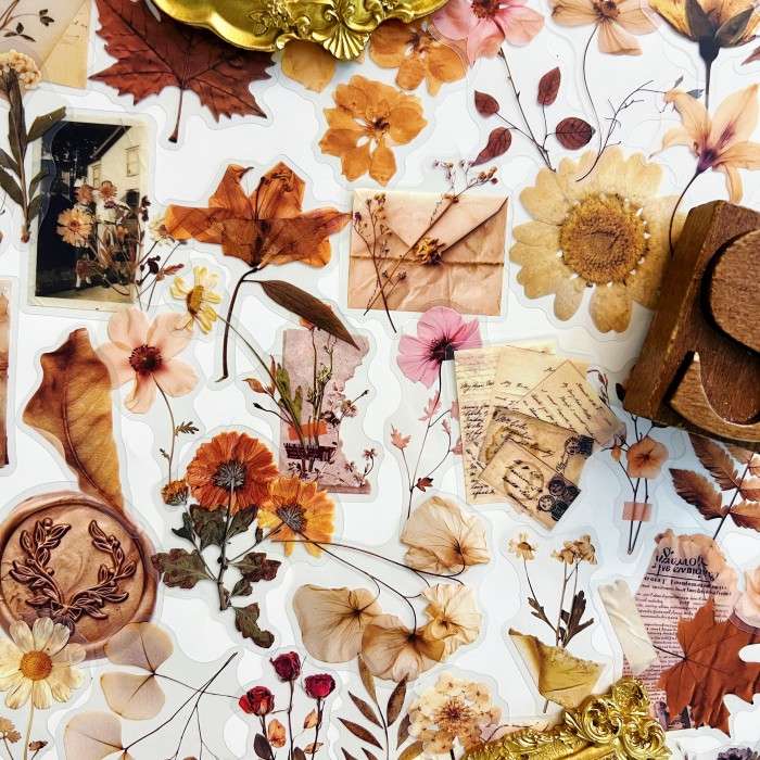 Dried Botanicals Sticker 50PCS
