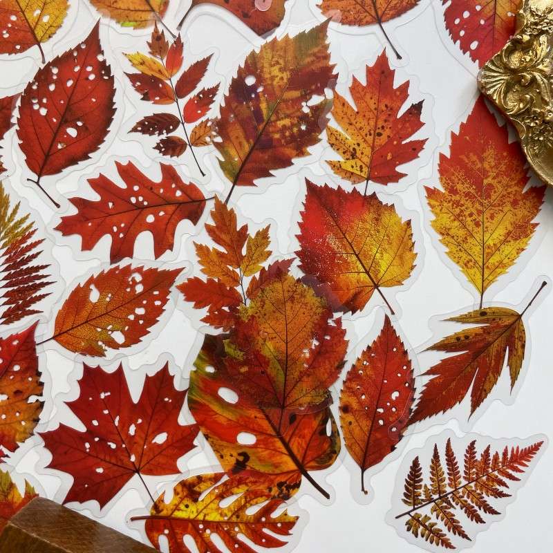 Fall Drift Sticker 56PCS