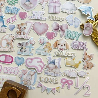 Newborn Records Sticker 62PCS | ML