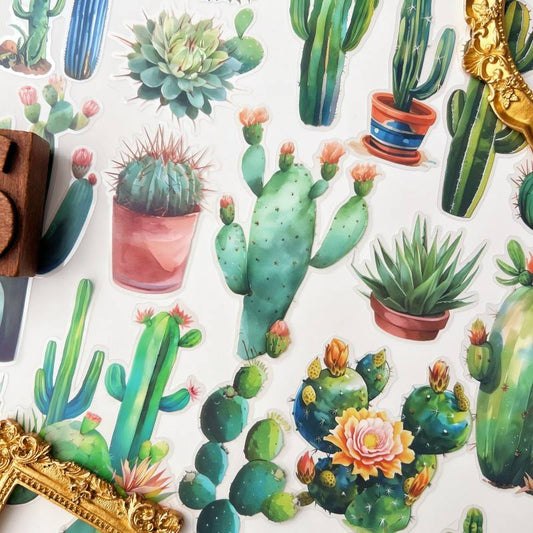 Summer Cactus Sticker 30PCS