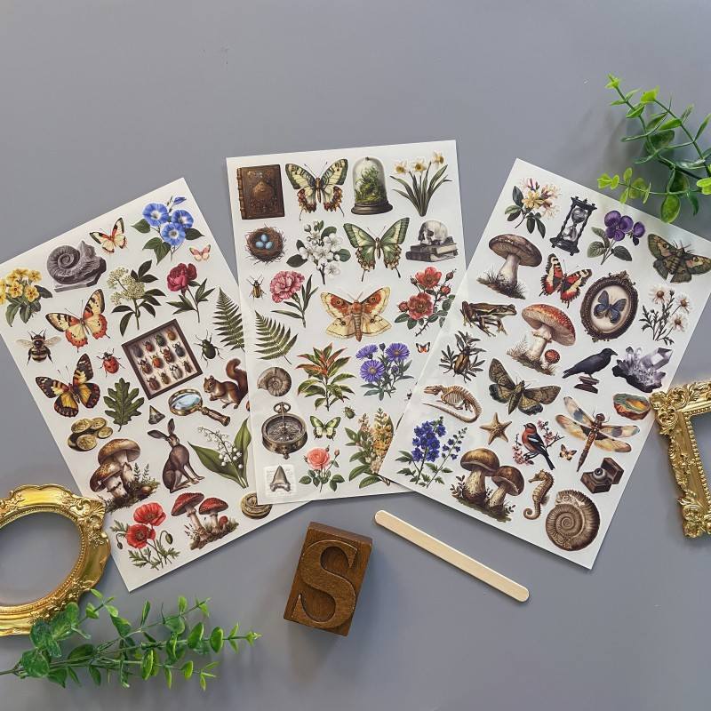 Magic Fossil Transfer Sticker