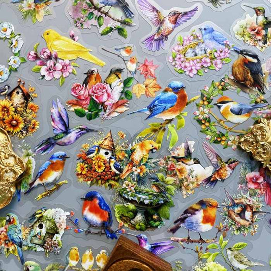 Bird Collection Sticker 90PCS