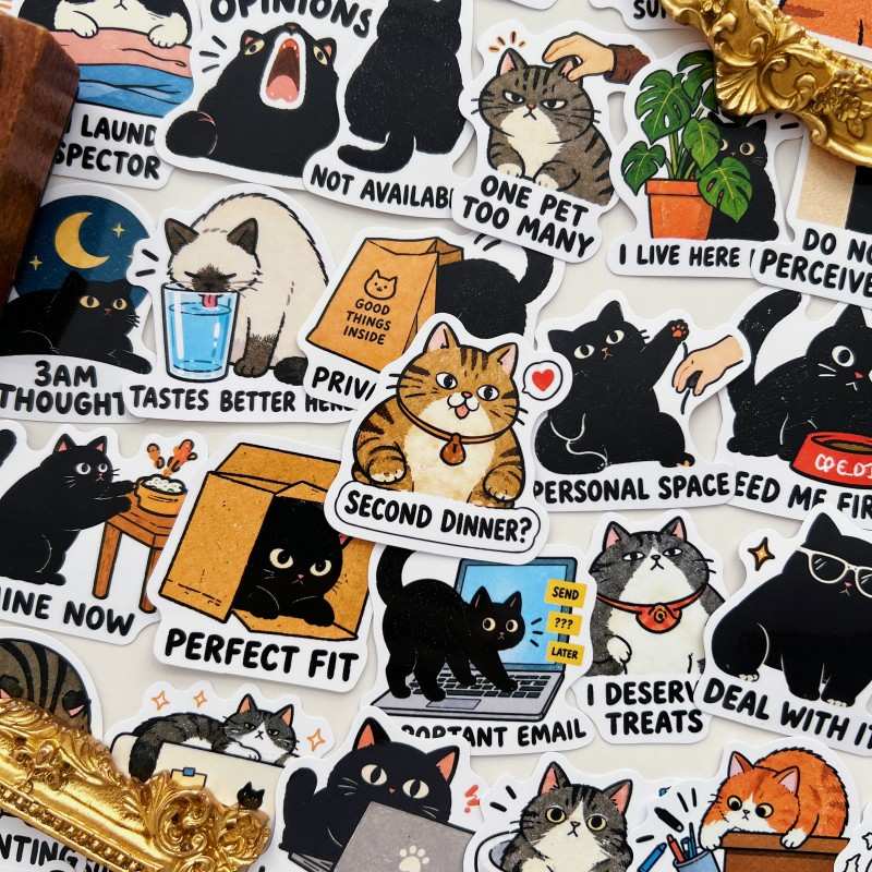 Kitten Nap Sticker 50PCS