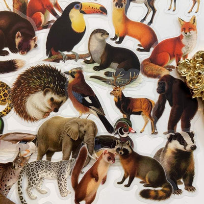Woodland Beasts Sticker 56PCS