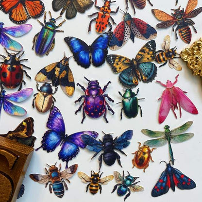 Insect Collector Sticker 100PCS