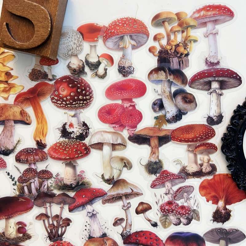 Oldwood Fungi Sticker 50PCS