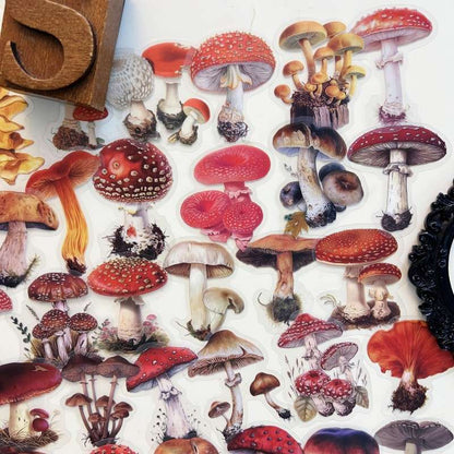 Oldwood Fungi Sticker 50PCS
