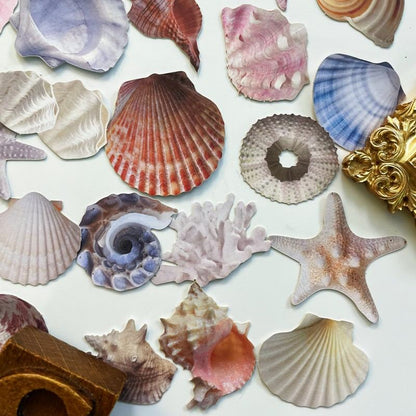 Shell Basket Sticker 60PCS